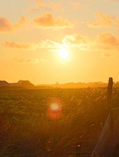 Sunset on Pexel island, Netherlands