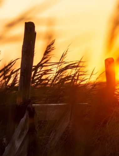 Sunset on Texel island, Netherlands