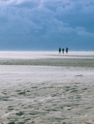 White sands, Texel island, Netherlands