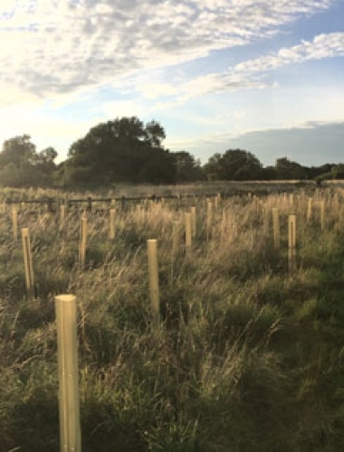 Open area, Chippenham, Wiltshire