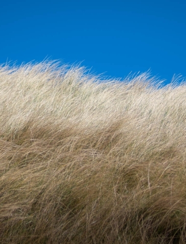 Dunes, west coast of Scotland