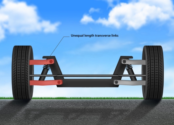 Transverse links animation